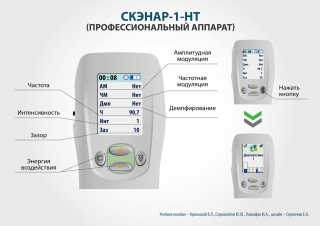 СКЭНАР-1-НТ (исполнение 01)  в Находке купить Медицинская техника - denasosteo.ru 
